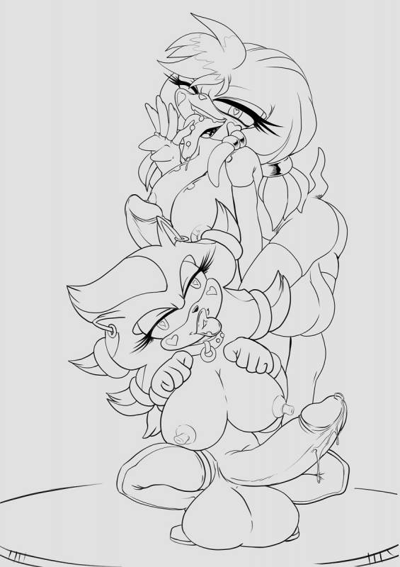 knuckles the echidna+shadow the hedgehog