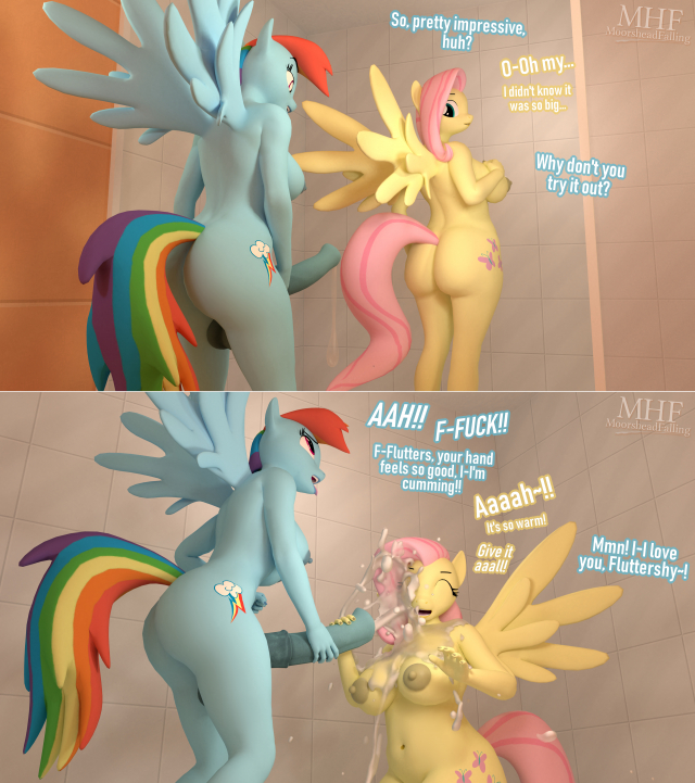 fluttershy (mlp)+rainbow dash (mlp)