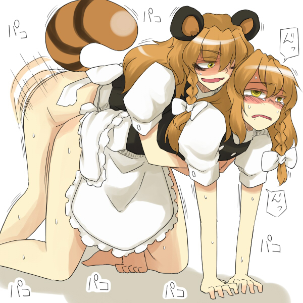 bakedanuki (touhou)+kirisame marisa