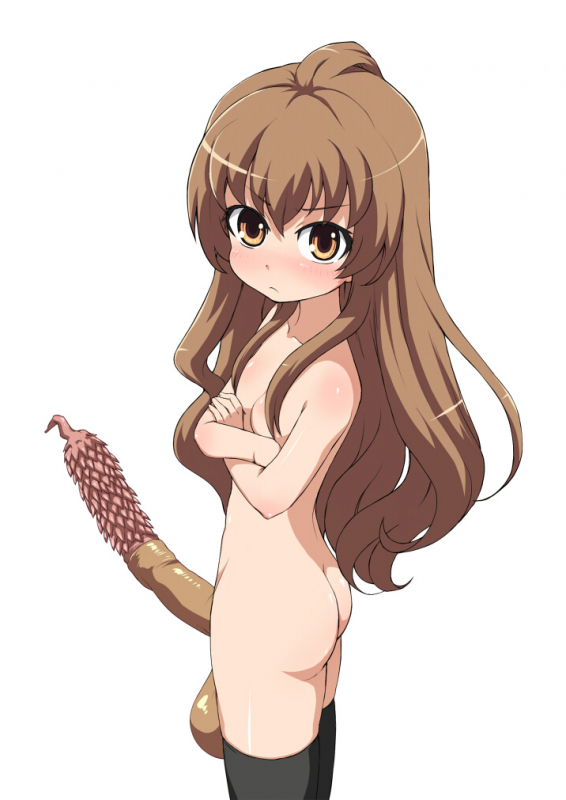 aisaka taiga