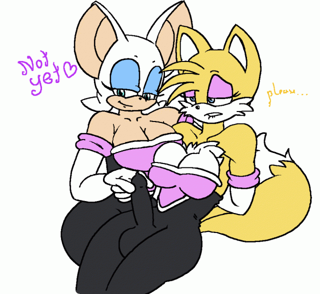 rouge the bat+tails+tailsko