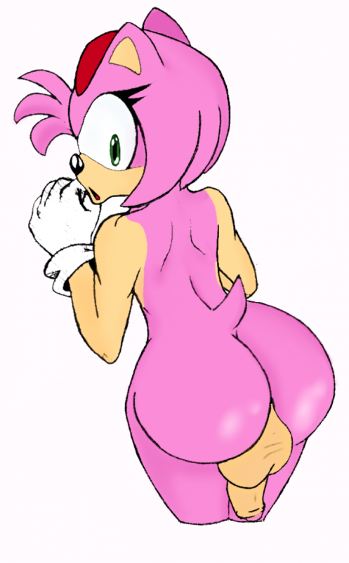 amy rose+sonic the hedgehog