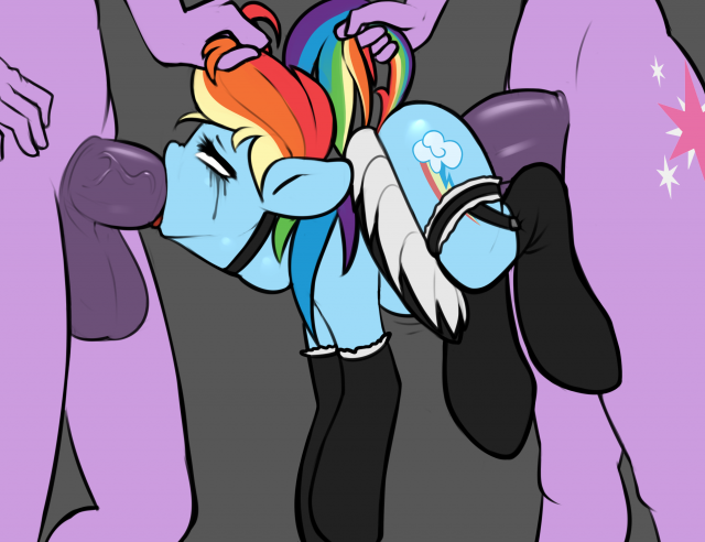 rainbow dash (mlp)+twilight sparkle (mlp)