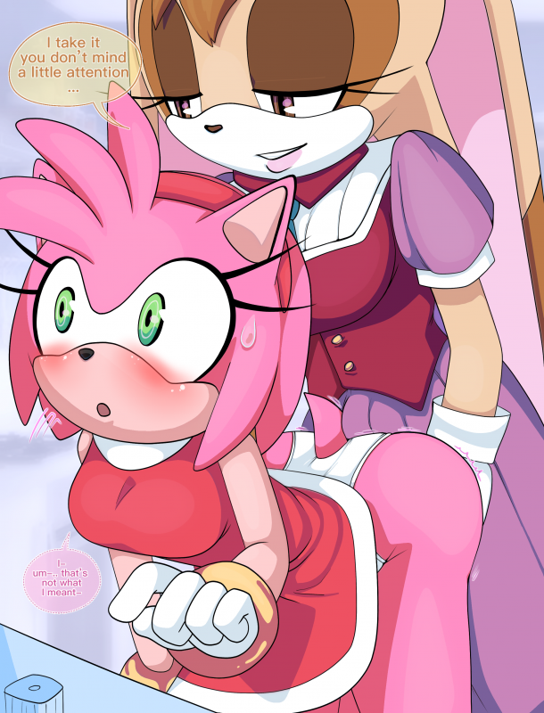 amy rose+vanilla the rabbit
